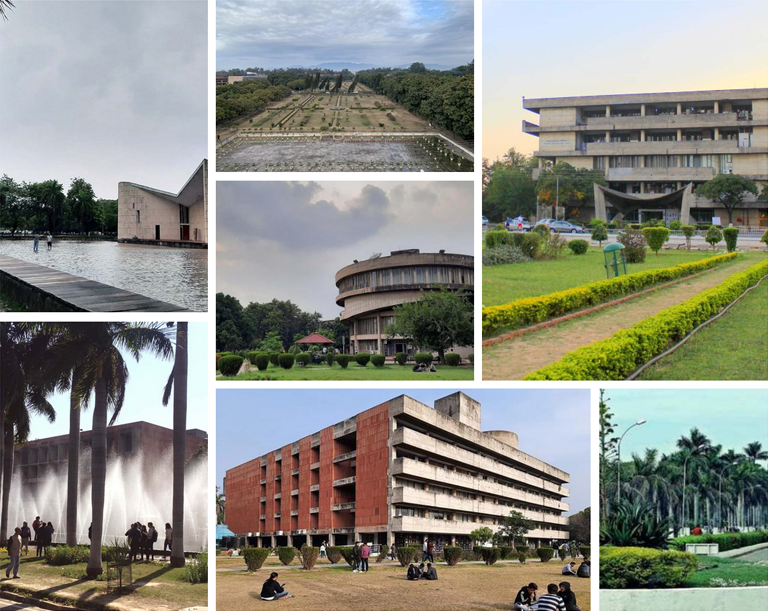 Panjab University Collage